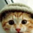 Myrtle_