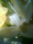 mariliou